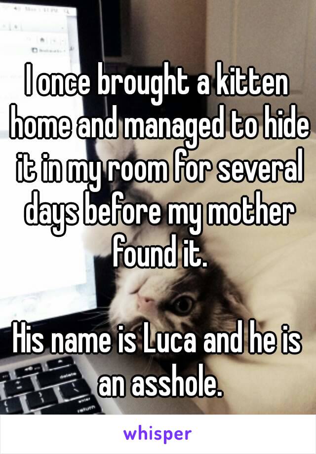 I once brought a kitten home and managed to hide it in my room for several days before my mother found it.

His name is Luca and he is an asshole.