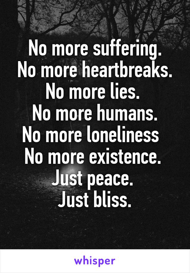 No more suffering.
No more heartbreaks.
No more lies. 
No more humans.
No more loneliness  
No more existence. 
Just peace. 
Just bliss.
