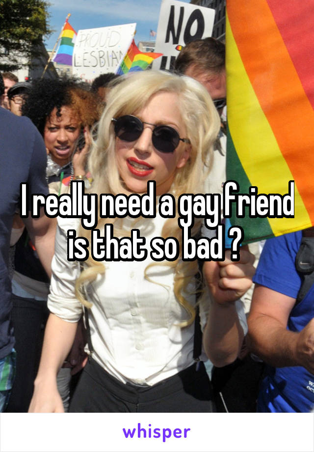 I really need a gay friend is that so bad ? 