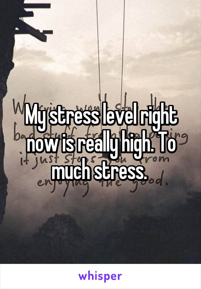 My stress level right now is really high. To much stress. 