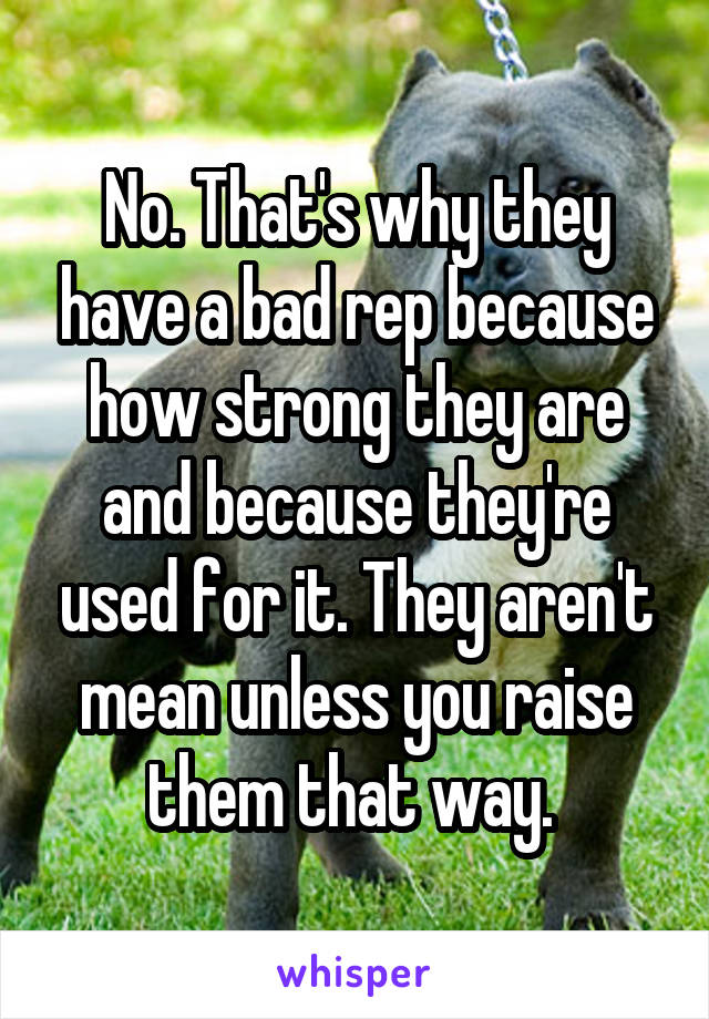 No. That's why they have a bad rep because how strong they are and because they're used for it. They aren't mean unless you raise them that way. 