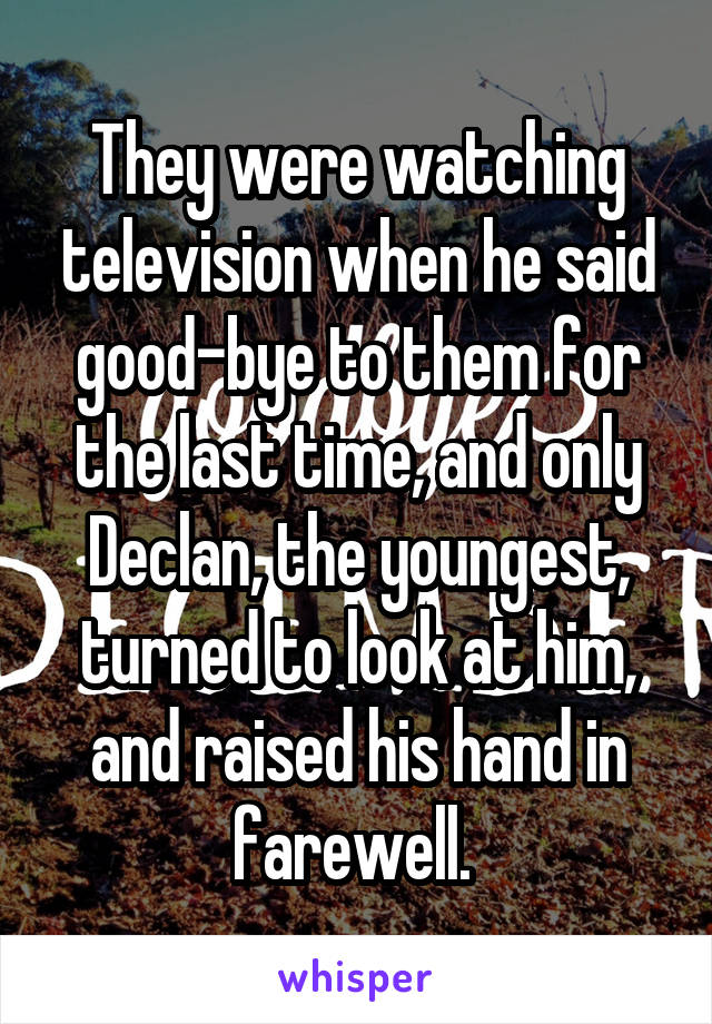 They were watching television when he said good-bye to them for the last time, and only Declan, the youngest, turned to look at him, and raised his hand in farewell. 