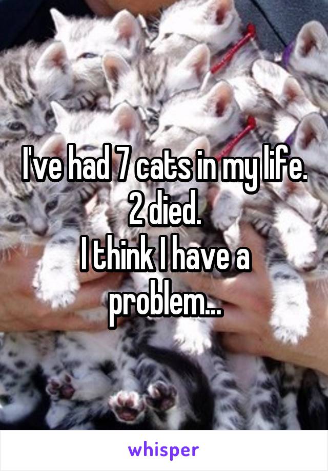 I've had 7 cats in my life. 2 died.
I think I have a problem...