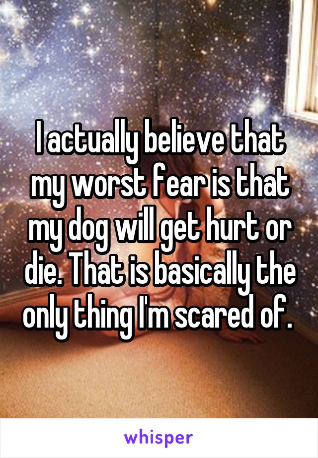 I actually believe that my worst fear is that my dog will get hurt or die. That is basically the only thing I'm scared of. 