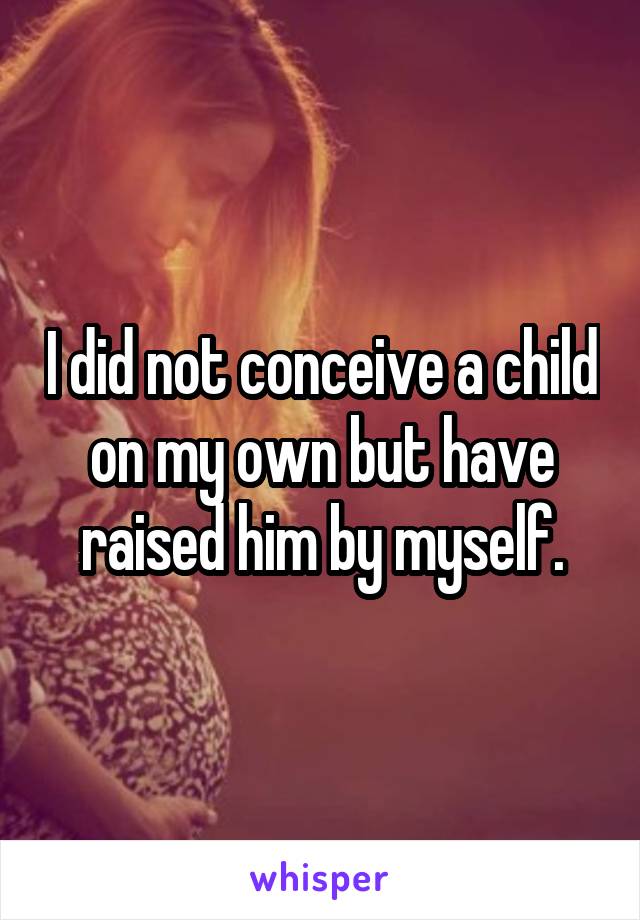 I did not conceive a child on my own but have raised him by myself.