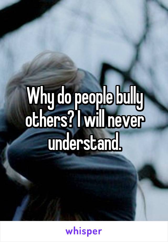 Why do people bully others? I will never understand.