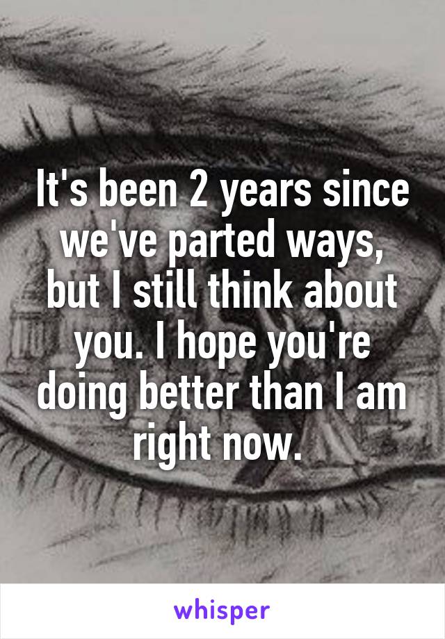 It's been 2 years since we've parted ways, but I still think about you. I hope you're doing better than I am right now. 