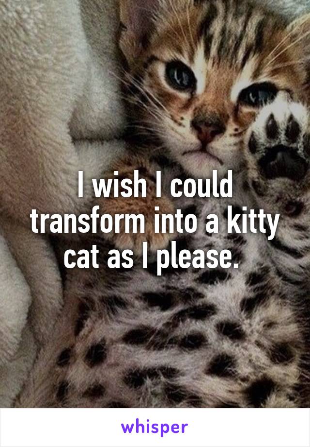 I wish I could transform into a kitty cat as I please. 