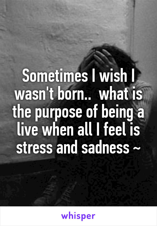 Sometimes I wish I wasn't born..  what is the purpose of being a live when all I feel is stress and sadness ~