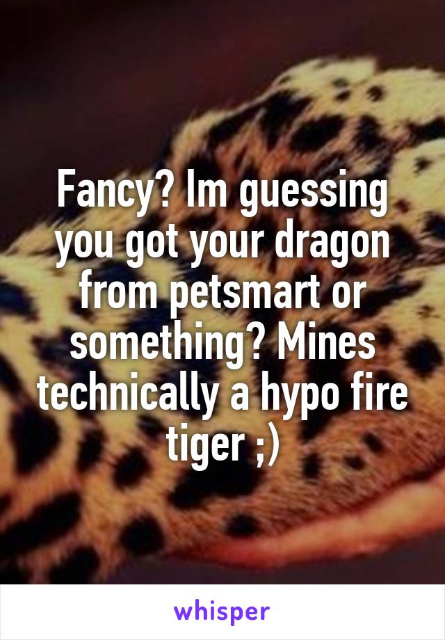 Fancy? Im guessing you got your dragon from petsmart or something? Mines technically a hypo fire tiger ;)