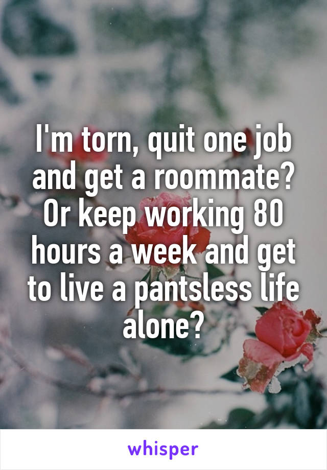 I'm torn, quit one job and get a roommate? Or keep working 80 hours a week and get to live a pantsless life alone?