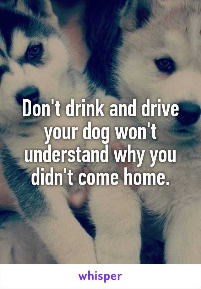 Don't drink and drive your dog won't understand why you didn't come home.