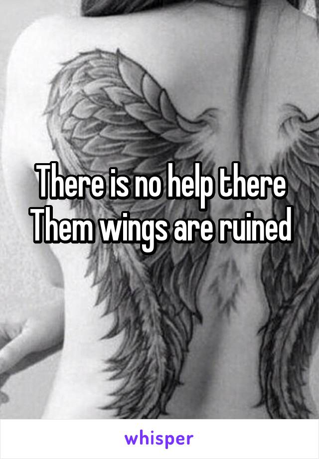 There is no help there
Them wings are ruined 