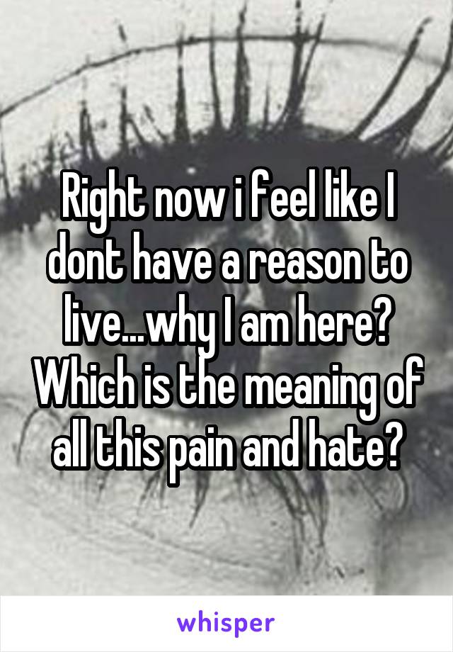 Right now i feel like I dont have a reason to live...why I am here? Which is the meaning of all this pain and hate?