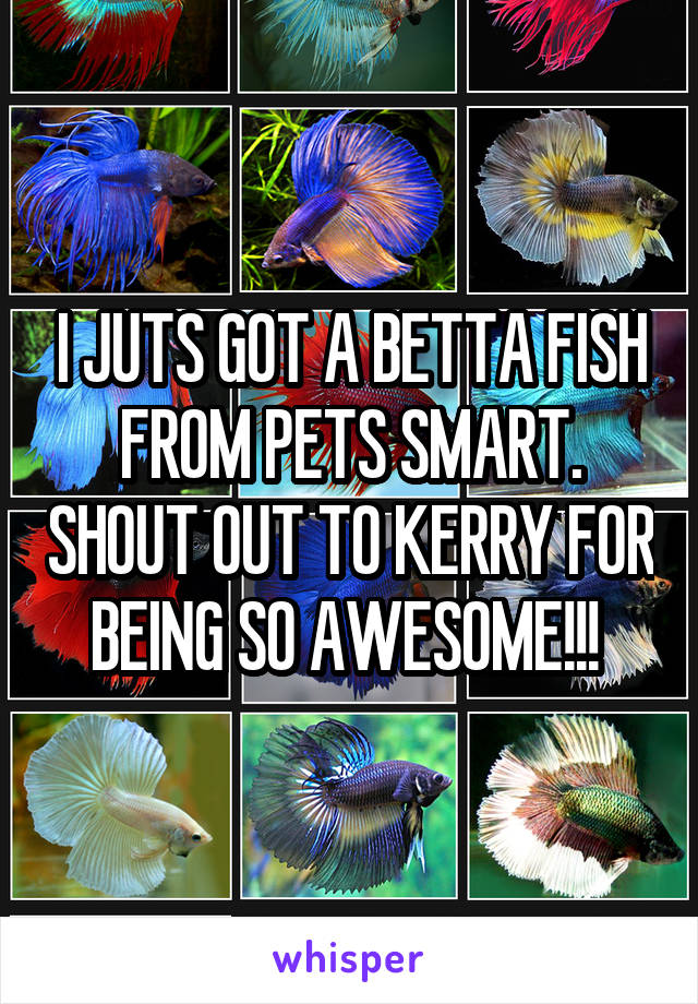 I JUTS GOT A BETTA FISH FROM PETS SMART. SHOUT OUT TO KERRY FOR BEING SO AWESOME!!! 