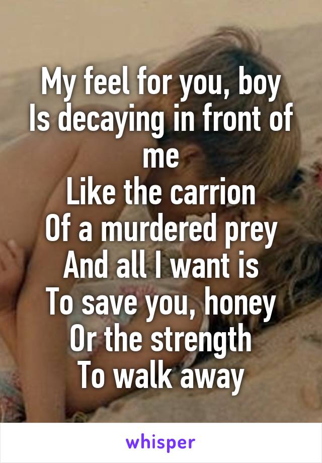 My feel for you, boy
Is decaying in front of me
Like the carrion
Of a murdered prey
And all I want is
To save you, honey
Or the strength
To walk away