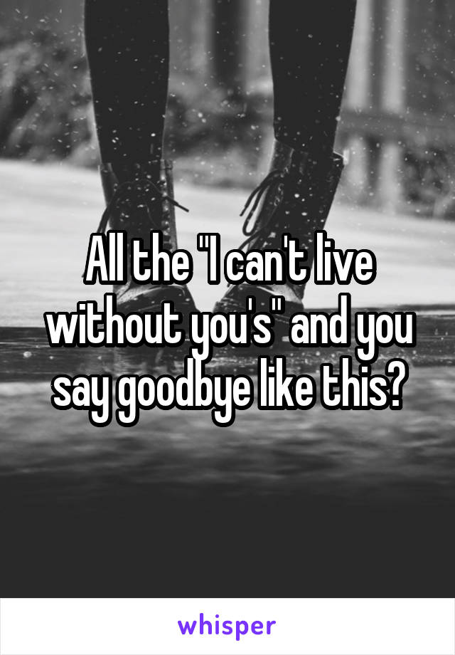 All the "I can't live without you's" and you say goodbye like this?