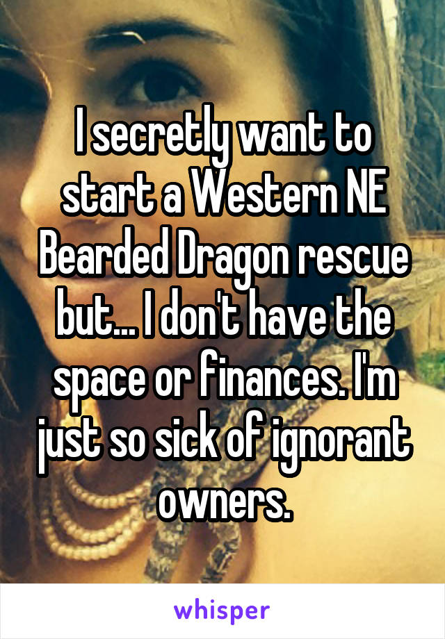 I secretly want to start a Western NE Bearded Dragon rescue but... I don't have the space or finances. I'm just so sick of ignorant owners.