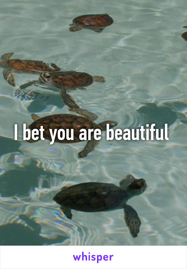 I bet you are beautiful 