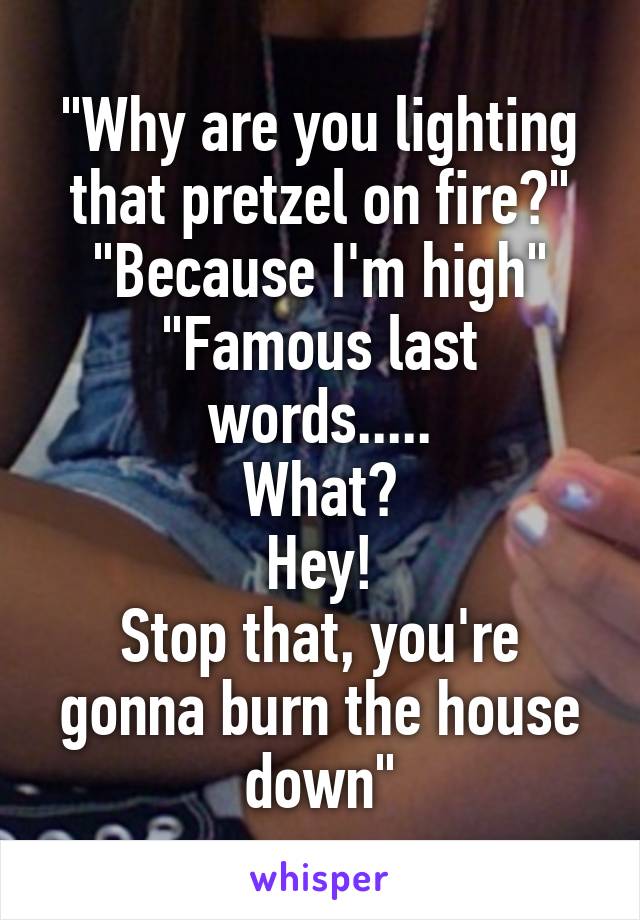 "Why are you lighting that pretzel on fire?"
"Because I'm high"
"Famous last words.....
What?
Hey!
Stop that, you're gonna burn the house down"