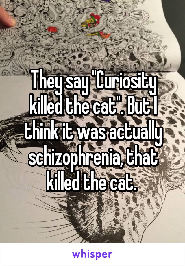 They say "Curiosity killed the cat". But I think it was actually schizophrenia, that killed the cat. 