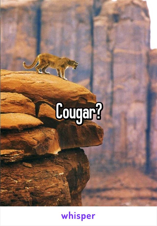 Cougar?