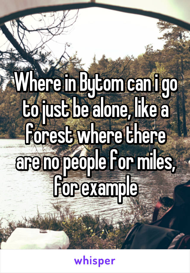 Where in Bytom can i go to just be alone, like a forest where there are no people for miles, for example