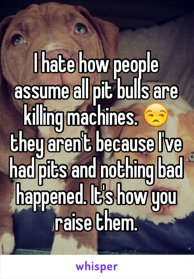 I hate how people assume all pit bulls are killing machines. 😒 they aren't because I've had pits and nothing bad happened. It's how you raise them.