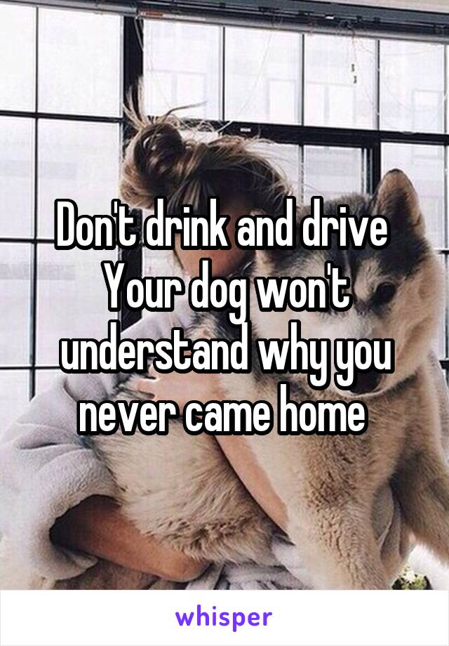 Don't drink and drive 
Your dog won't understand why you never came home 