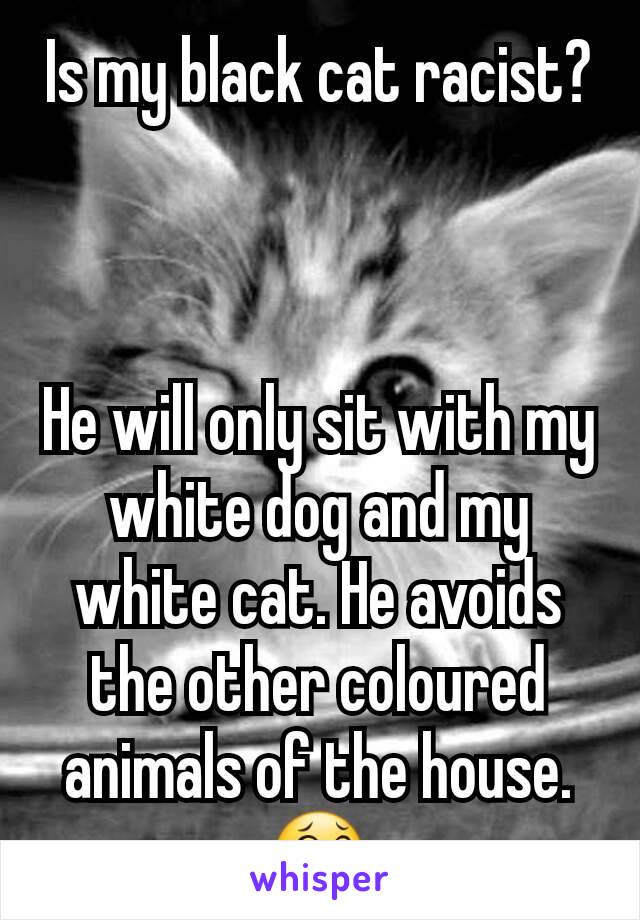 Is my black cat racist?



He will only sit with my white dog and my white cat. He avoids the other coloured animals of the house. 😂