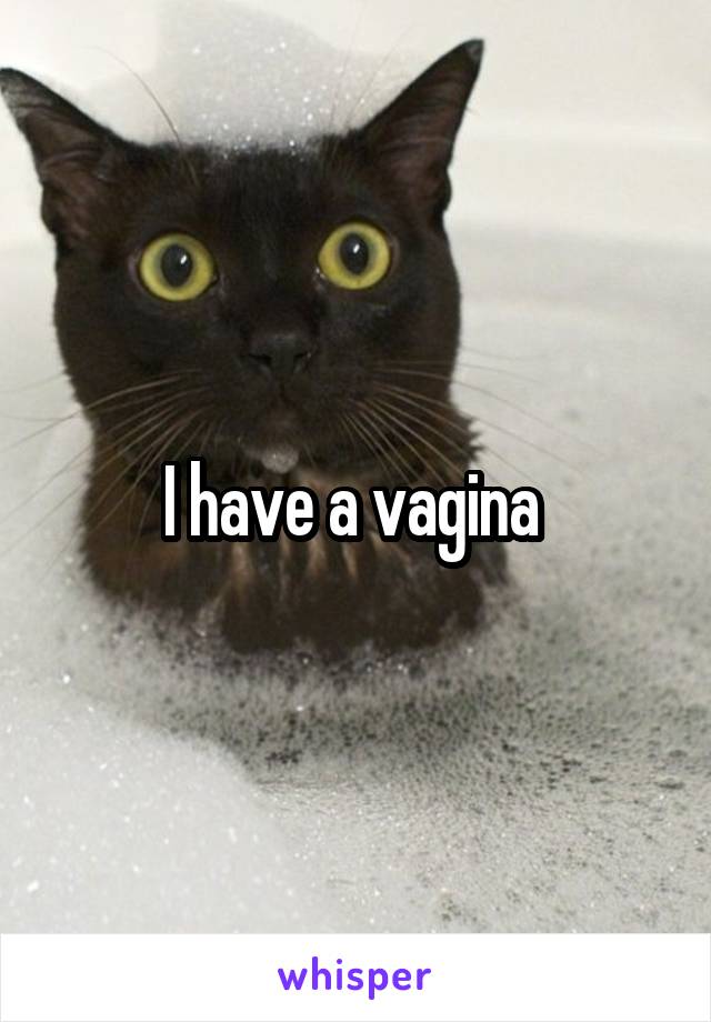 I have a vagina 