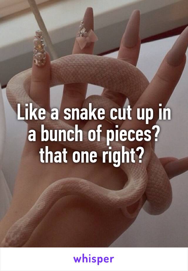 Like a snake cut up in a bunch of pieces? that one right? 