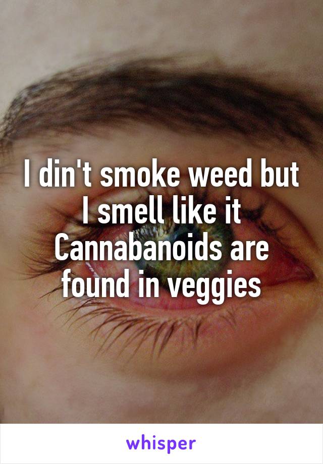 I din't smoke weed but I smell like it
Cannabanoids are found in veggies