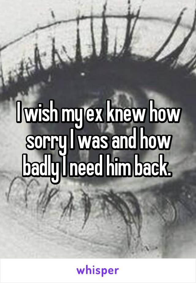 I wish my ex knew how sorry I was and how badly I need him back. 