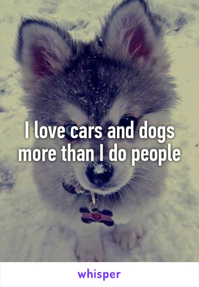 I love cars and dogs more than I do people