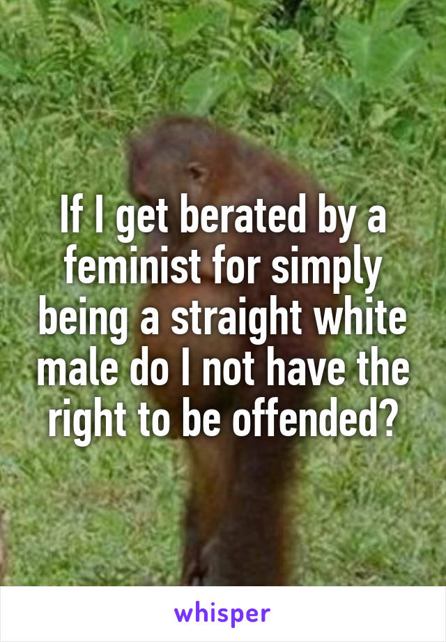 If I get berated by a feminist for simply being a straight white male do I not have the right to be offended?