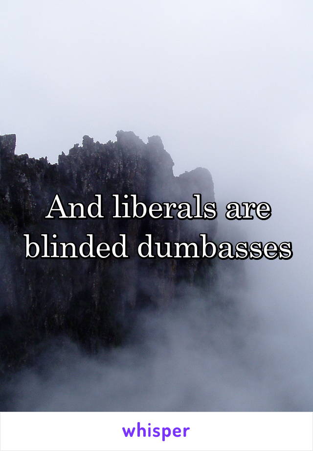 And liberals are blinded dumbasses