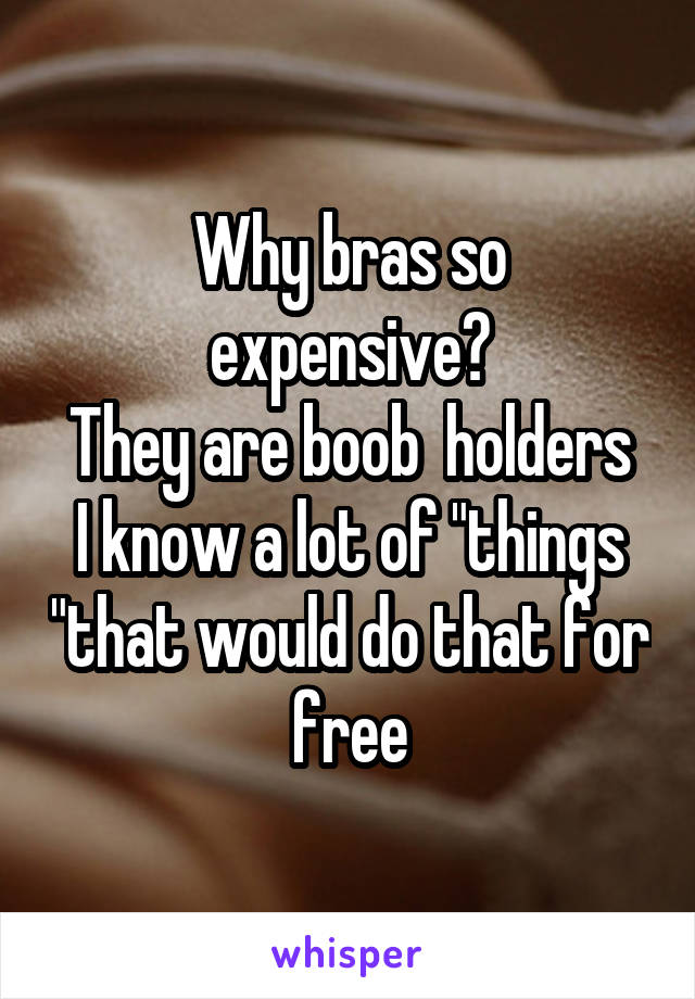 Why bras so expensive?
They are boob  holders I know a lot of "things "that would do that for free