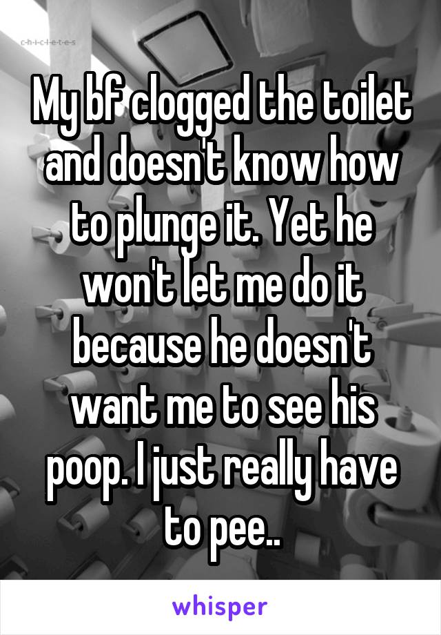 My bf clogged the toilet and doesn't know how to plunge it. Yet he won't let me do it because he doesn't want me to see his poop. I just really have to pee..