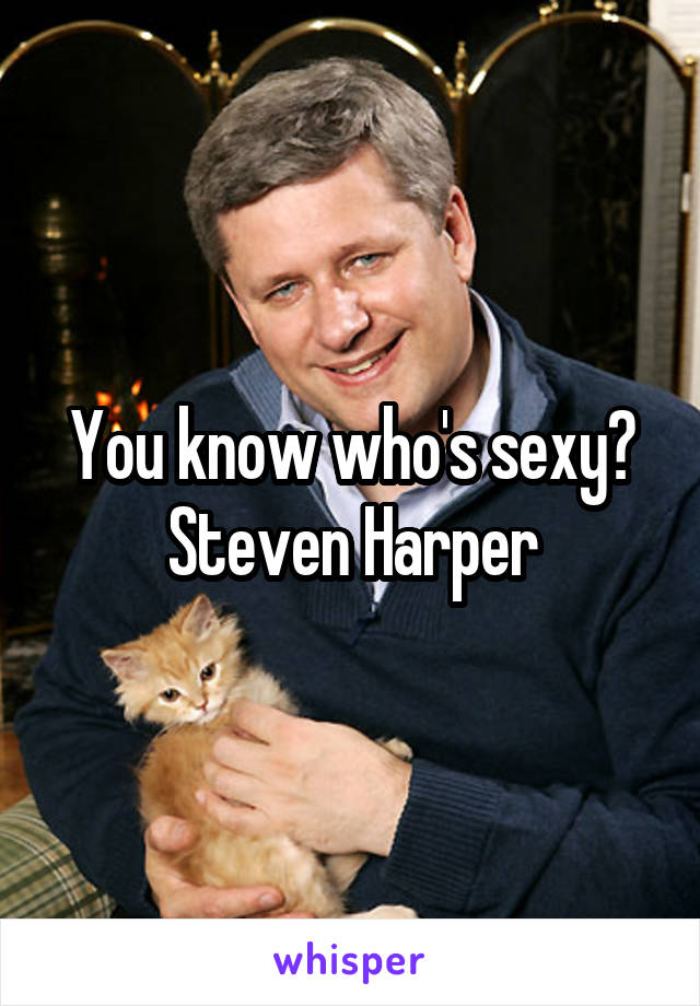 You know who's sexy? Steven Harper
