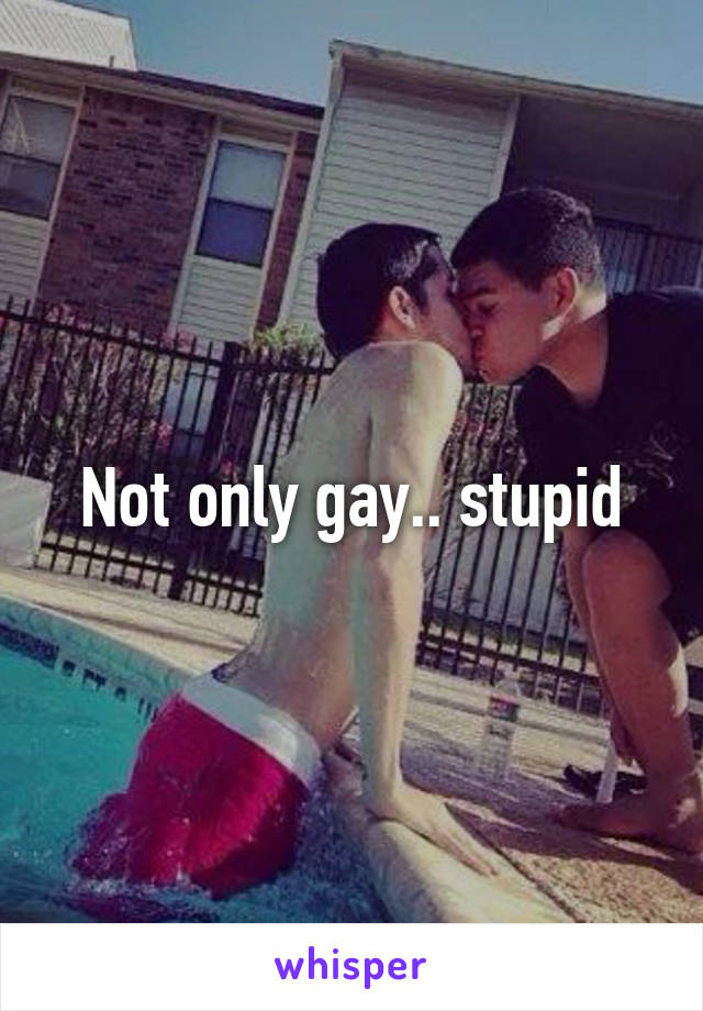 Not only gay.. stupid