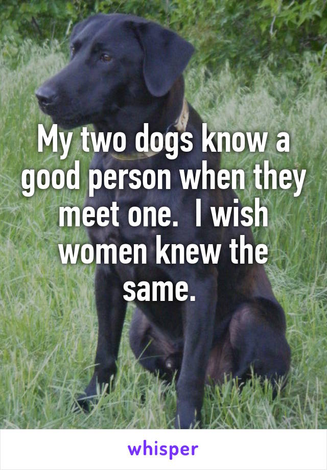 My two dogs know a good person when they meet one.  I wish women knew the same. 
