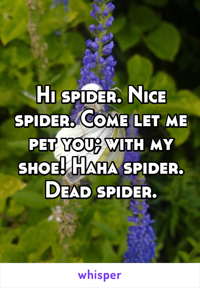 Hi spider. Nice spider. Come let me pet you; with my shoe! Haha spider. Dead spider.