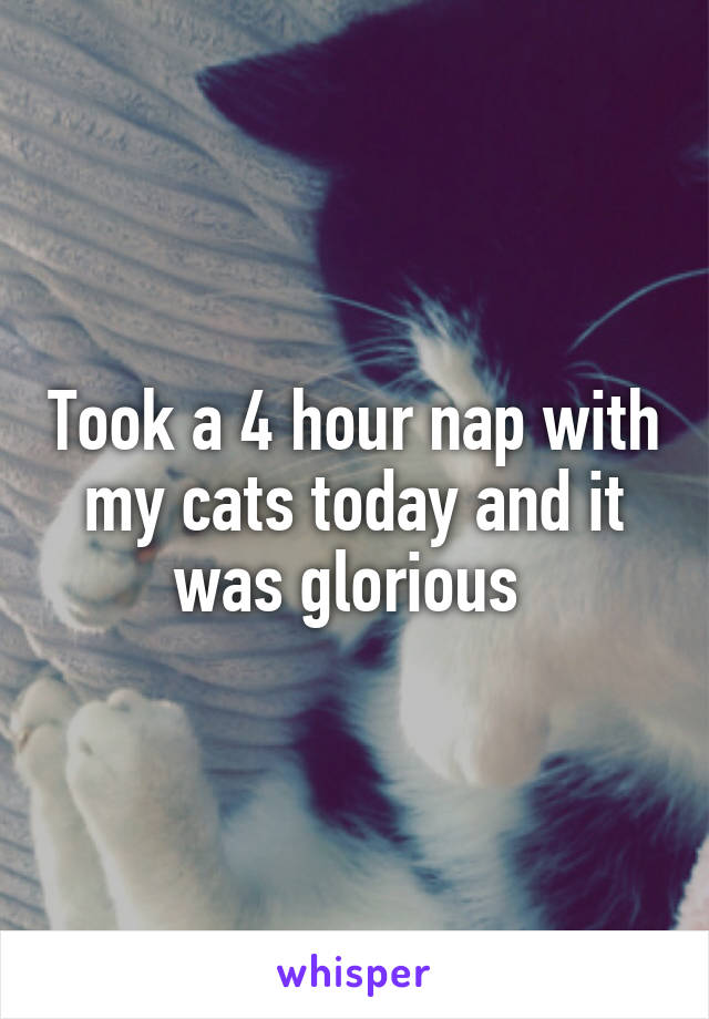 Took a 4 hour nap with my cats today and it was glorious 