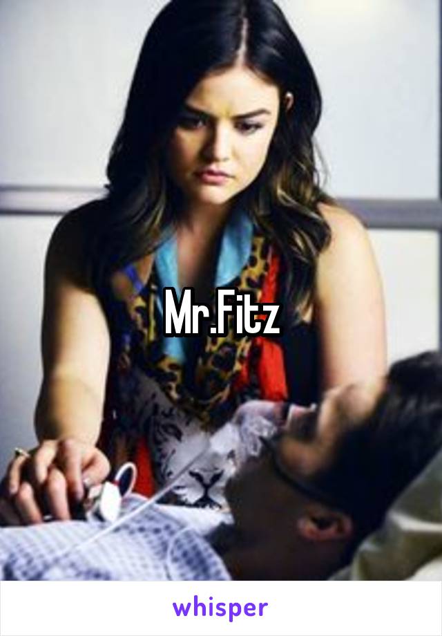 Mr.Fitz