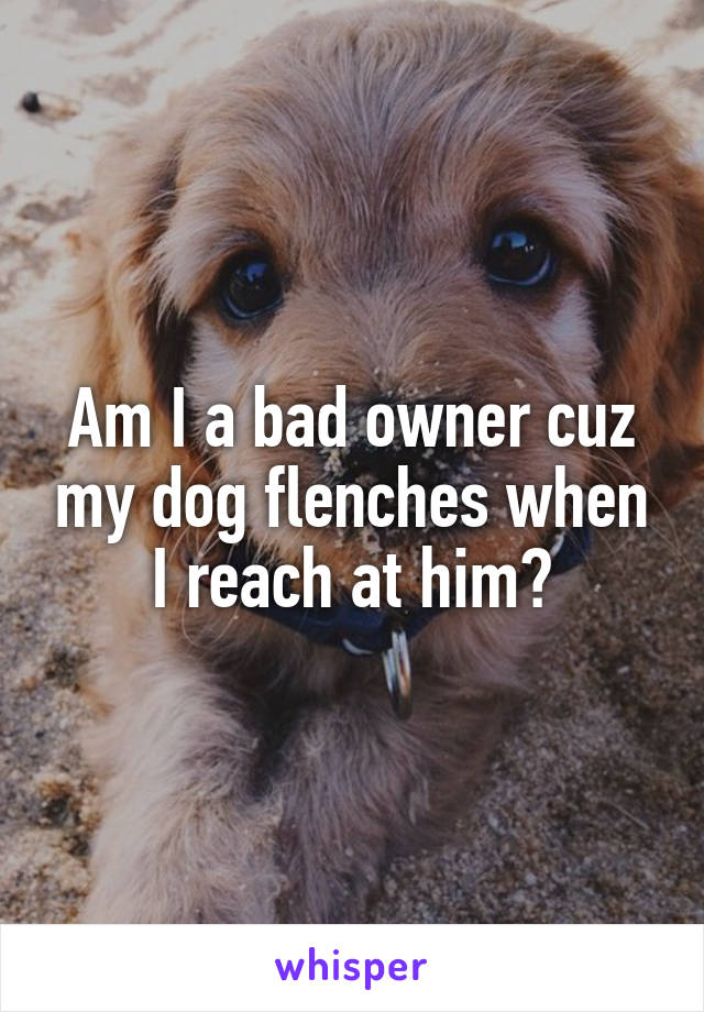 Am I a bad owner cuz my dog flenches when I reach at him?