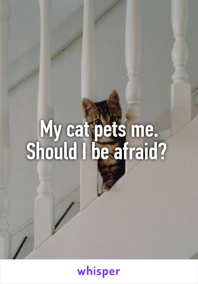 My cat pets me.
Should I be afraid? 