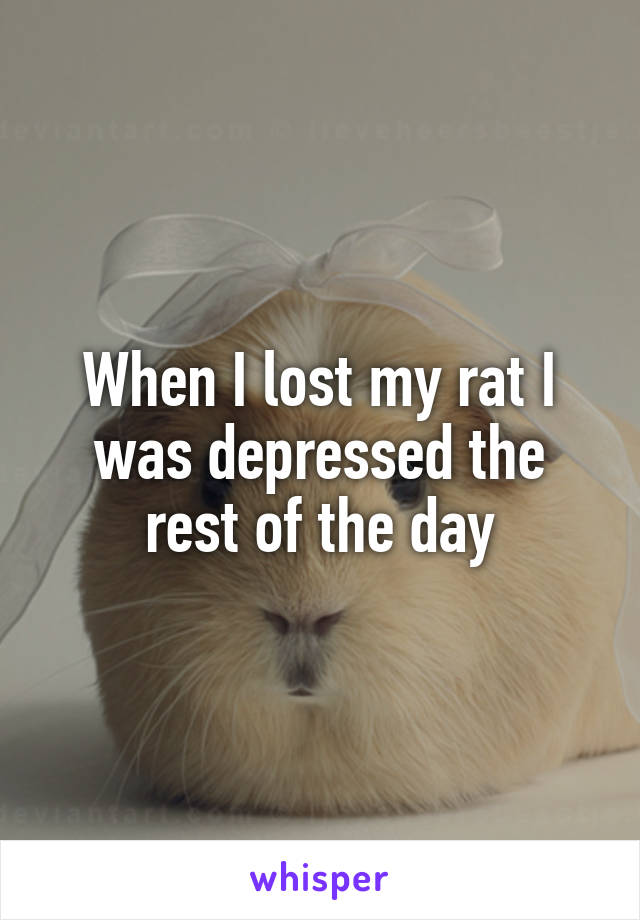 When I lost my rat I was depressed the rest of the day