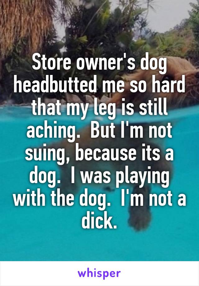 Store owner's dog headbutted me so hard that my leg is still aching.  But I'm not suing, because its a dog.  I was playing with the dog.  I'm not a dick.