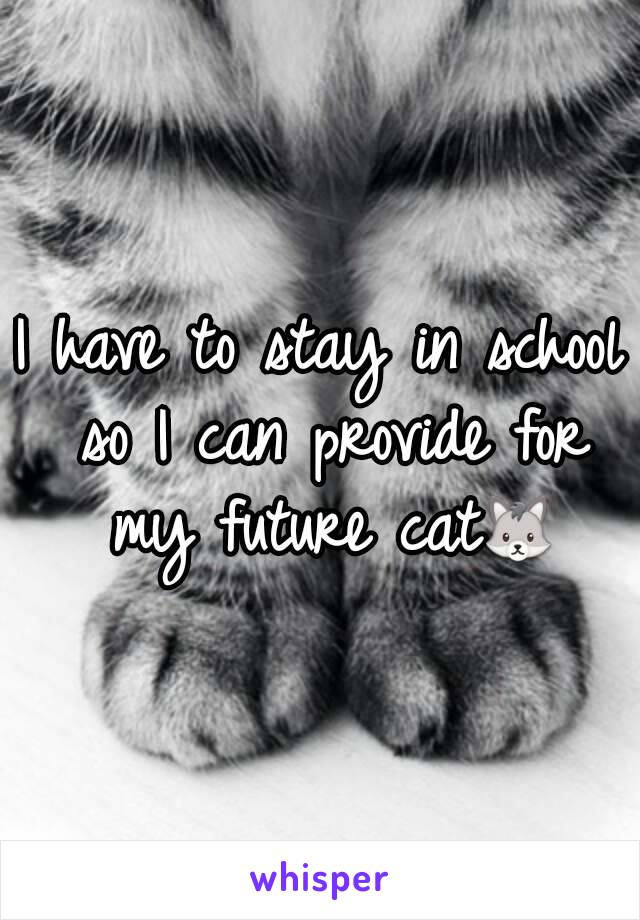 I have to stay in school so I can provide for my future cat🐺